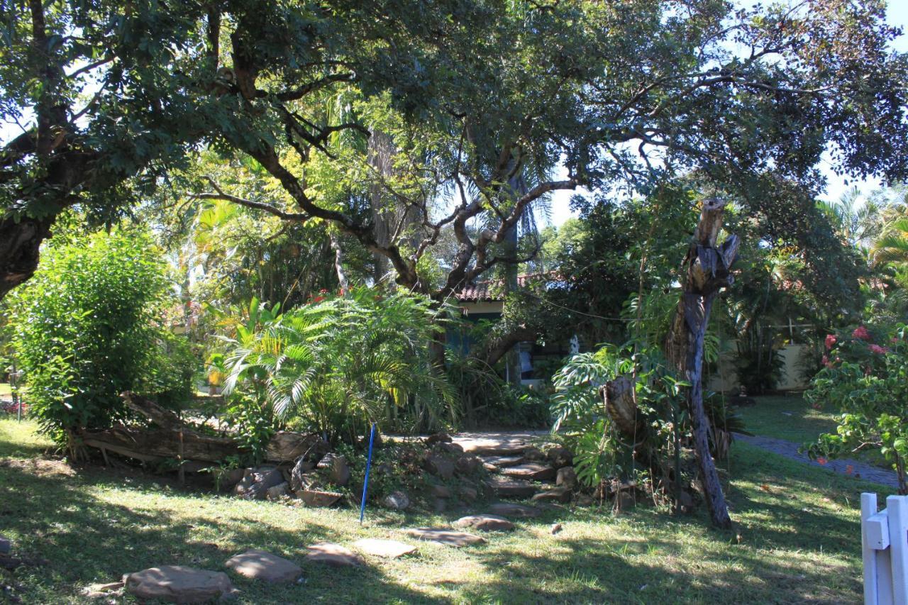 Fazenda Tia Dora * Tres Marias (Minas Gerais)